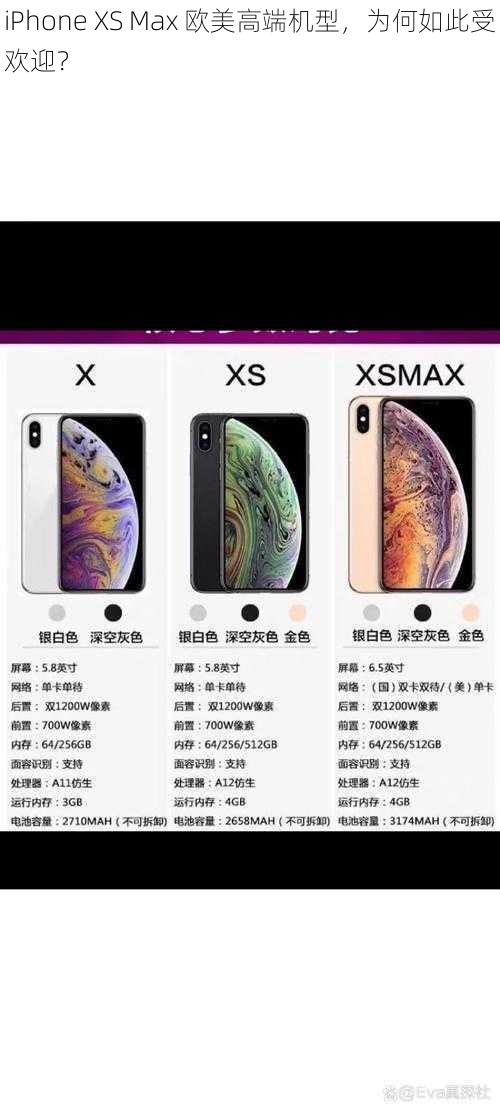 iPhone XS Max 欧美高端机型，为何如此受欢迎？