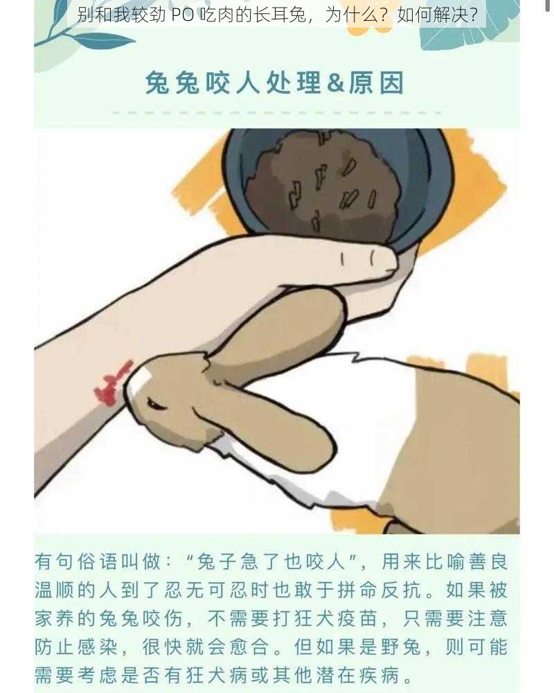 别和我较劲 PO 吃肉的长耳兔，为什么？如何解决？