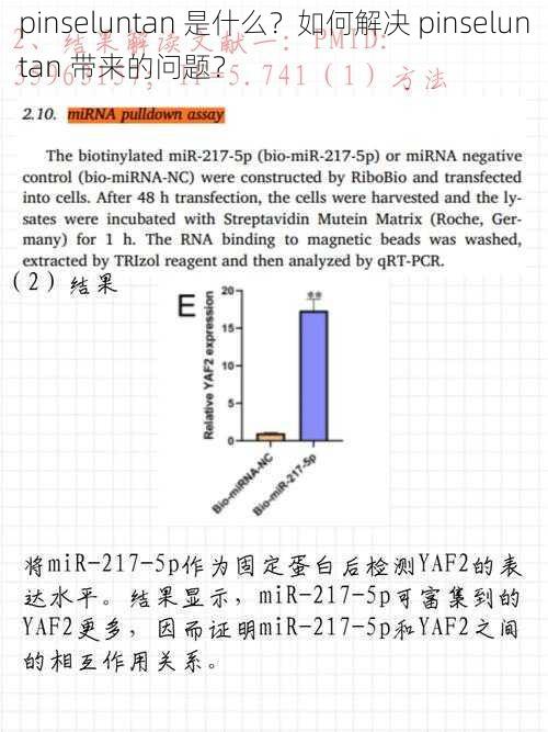 pinseluntan 是什么？如何解决 pinseluntan 带来的问题？