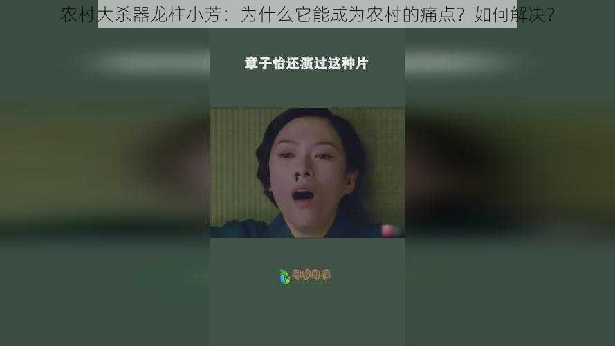 农村大杀器龙柱小芳：为什么它能成为农村的痛点？如何解决？