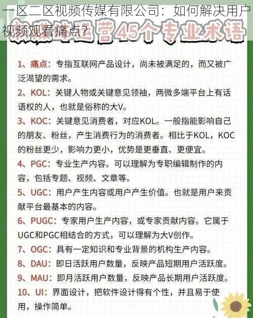 一区二区视频传媒有限公司：如何解决用户视频观看痛点？