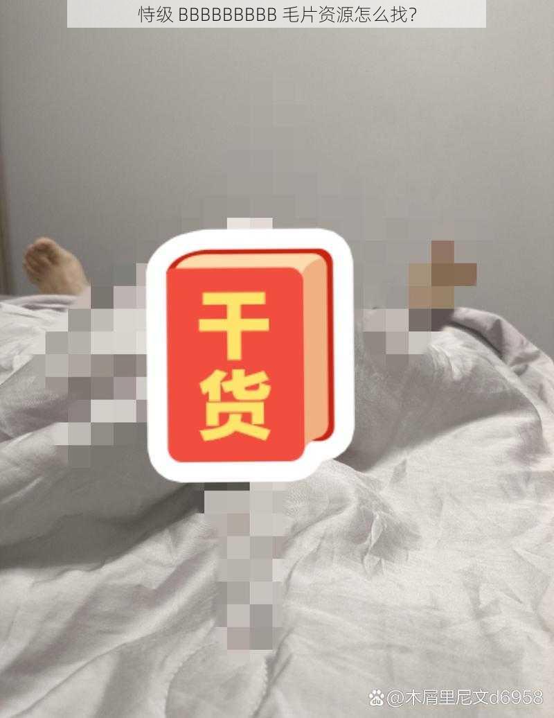 恃级 BBBBBBBBB 毛片资源怎么找？