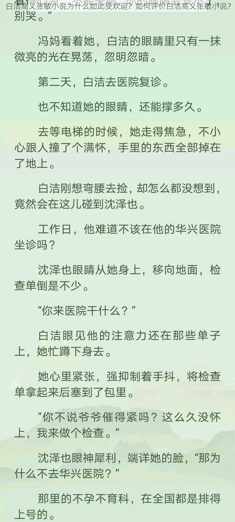 白洁高义张敏小说为什么如此受欢迎？如何评价白洁高义张敏小说？