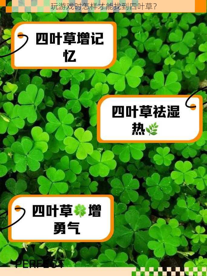 玩游戏时怎样才能找到四叶草？