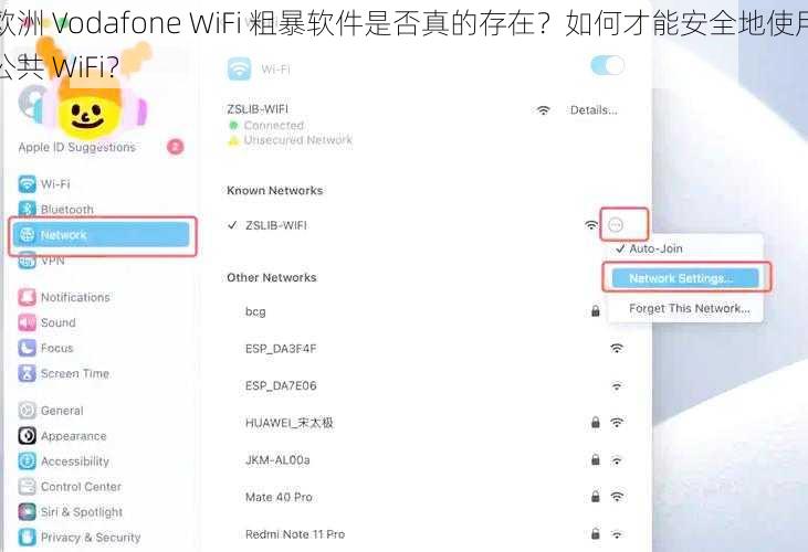 欧洲 Vodafone WiFi 粗暴软件是否真的存在？如何才能安全地使用公共 WiFi？