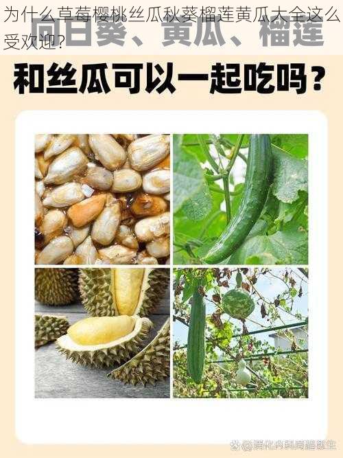 为什么草莓樱桃丝瓜秋葵榴莲黄瓜大全这么受欢迎？