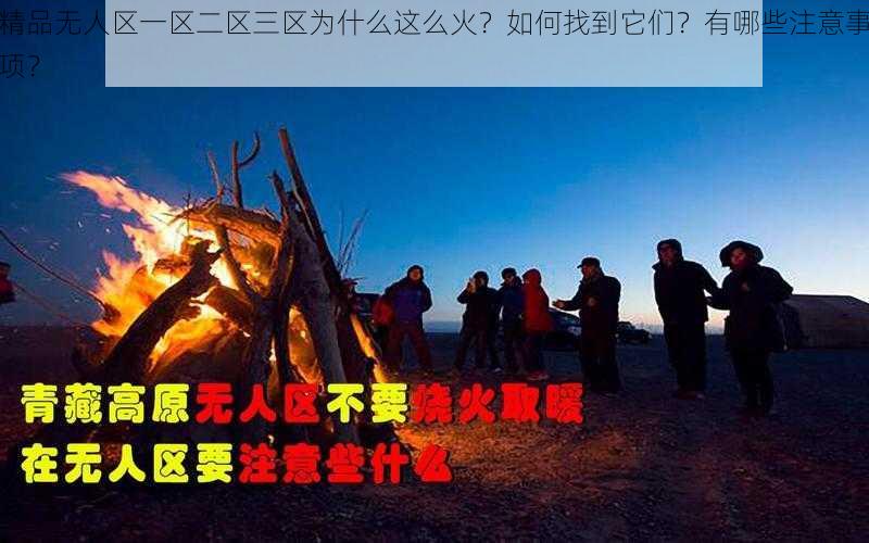 精品无人区一区二区三区为什么这么火？如何找到它们？有哪些注意事项？