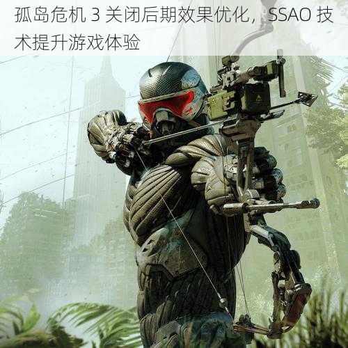 孤岛危机 3 关闭后期效果优化，SSAO 技术提升游戏体验