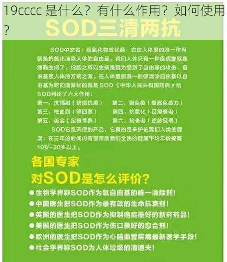 19cccc 是什么？有什么作用？如何使用？