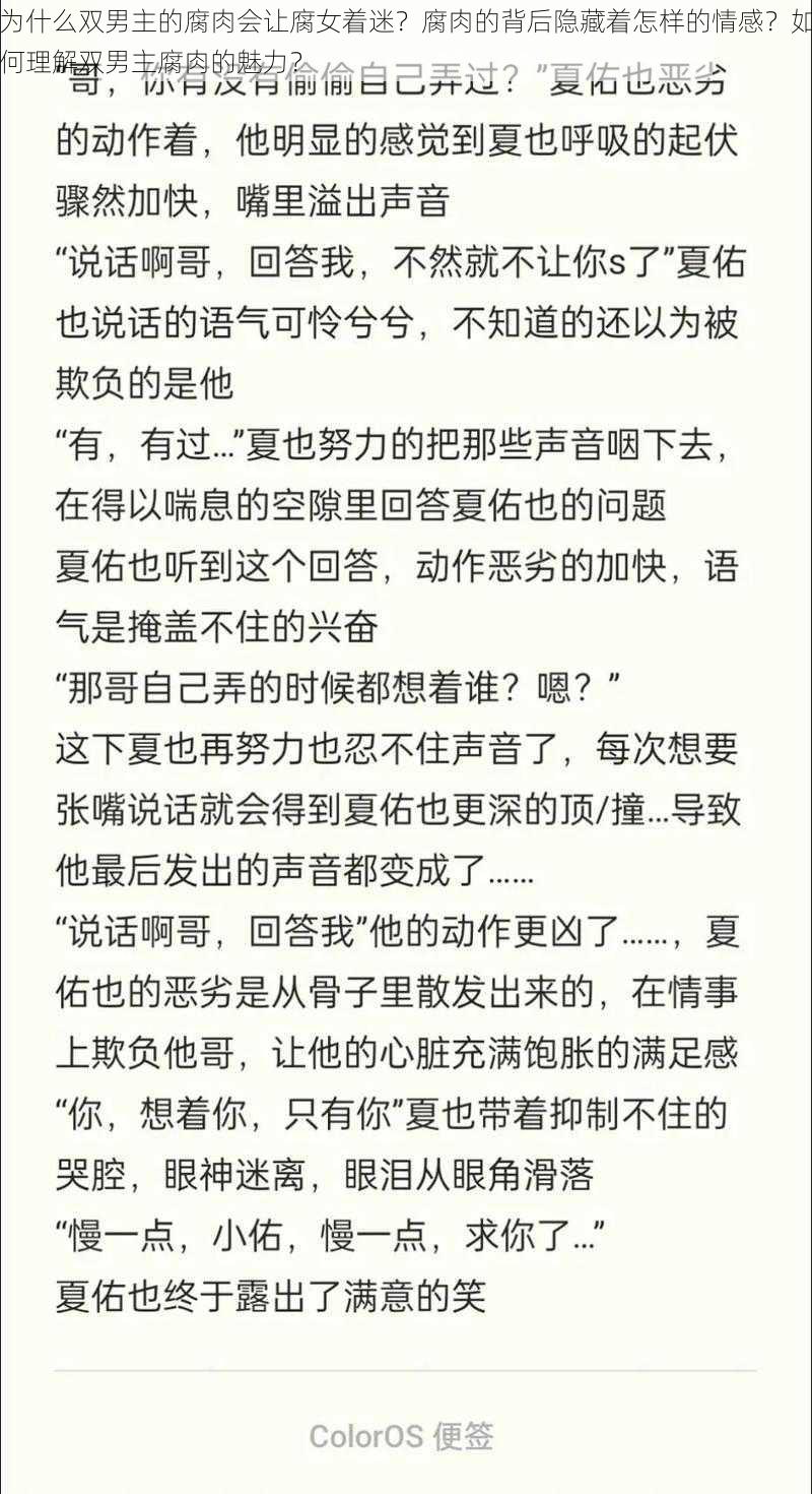 为什么双男主的腐肉会让腐女着迷？腐肉的背后隐藏着怎样的情感？如何理解双男主腐肉的魅力？