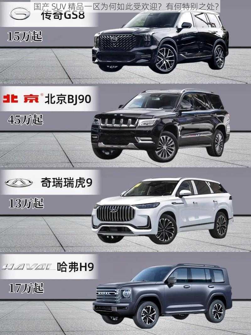 国产 SUV 精品一区为何如此受欢迎？有何特别之处？