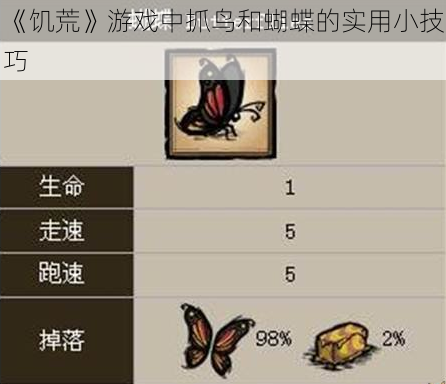 《饥荒》游戏中抓鸟和蝴蝶的实用小技巧