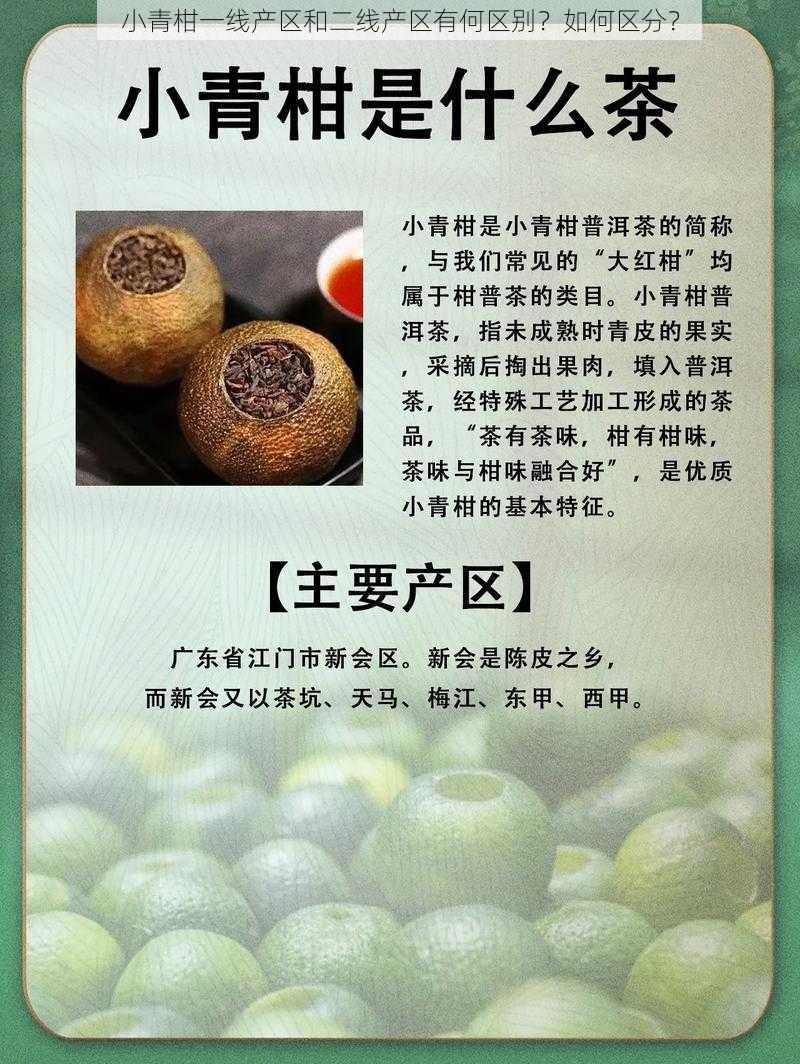 小青柑一线产区和二线产区有何区别？如何区分？