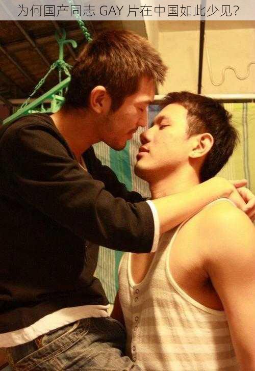 为何国产同志 GAY 片在中国如此少见？