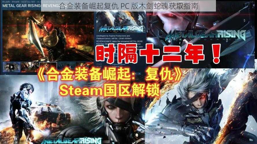 合金装备崛起复仇 PC 版木剑蛇魂获取指南