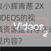 浪小辉青葱 2XVIDEOS的视频资源是否存在违规内容？