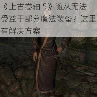 《上古卷轴 5》随从无法受益于部分魔法装备？这里有解决方案