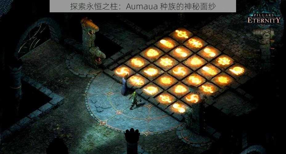 探索永恒之柱：Aumaua 种族的神秘面纱