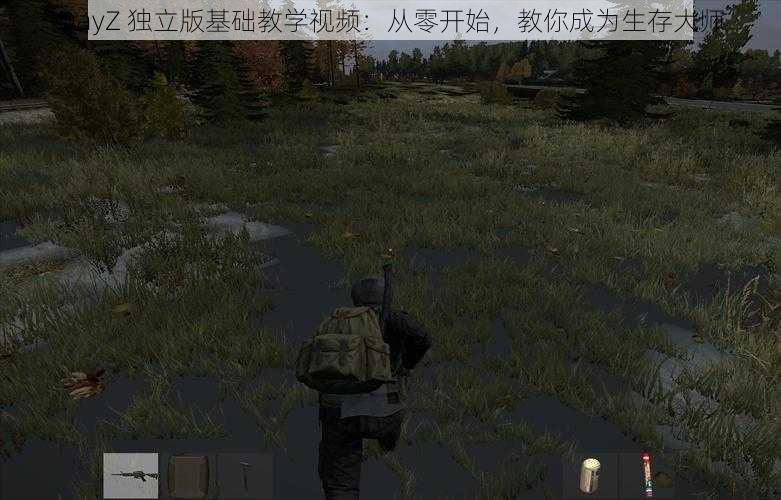 DayZ 独立版基础教学视频：从零开始，教你成为生存大师