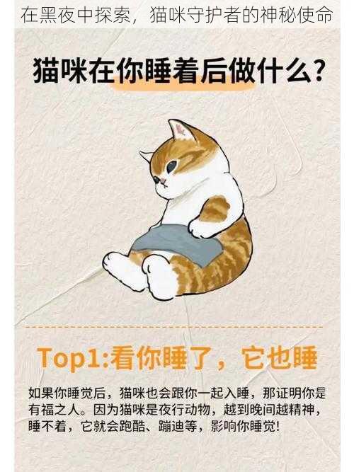 在黑夜中探索，猫咪守护者的神秘使命