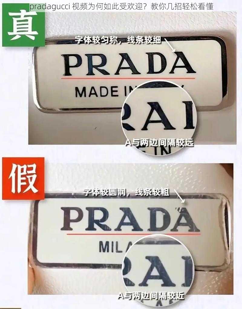 pradagucci 视频为何如此受欢迎？教你几招轻松看懂