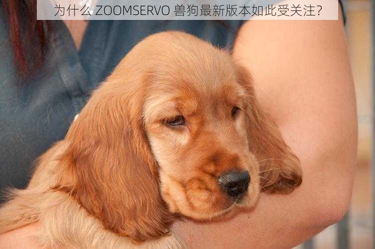 为什么 ZOOMSERVO 兽狗最新版本如此受关注？