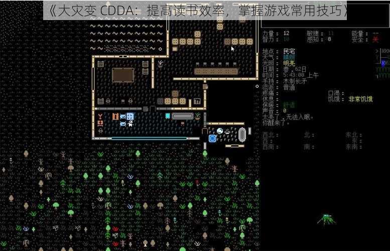 《大灾变 CDDA：提高读书效率，掌握游戏常用技巧》