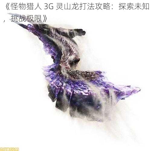 《怪物猎人 3G 灵山龙打法攻略：探索未知，挑战极限》