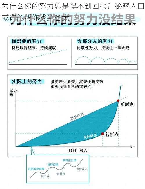 为什么你的努力总是得不到回报？秘密入口或许能帮你找到答案