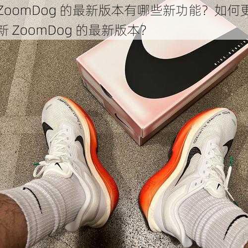 ZoomDog 的最新版本有哪些新功能？如何更新 ZoomDog 的最新版本？