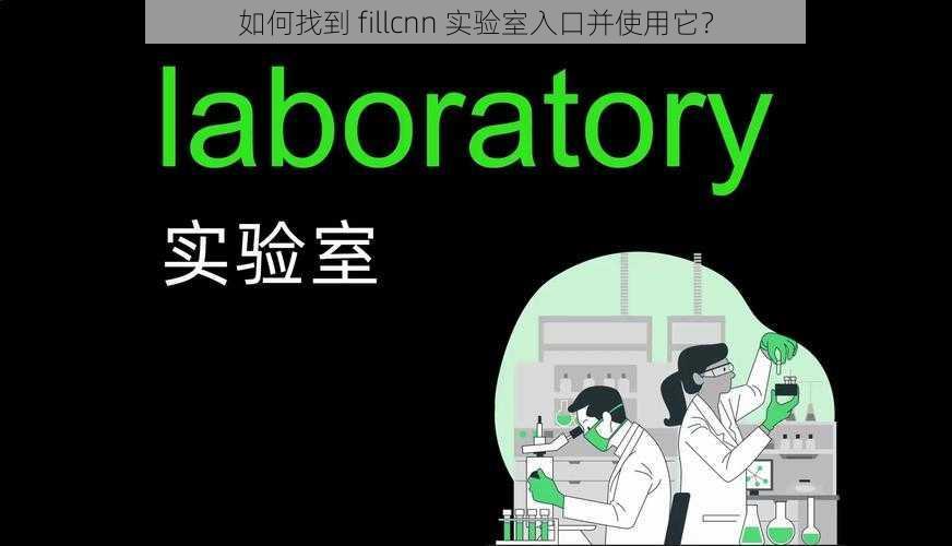 如何找到 fillcnn 实验室入口并使用它？