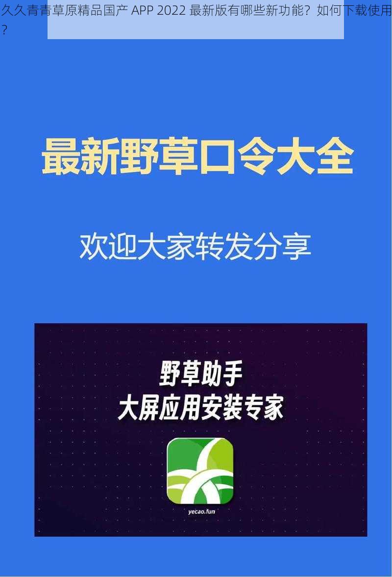 久久青青草原精品国产 APP 2022 最新版有哪些新功能？如何下载使用？