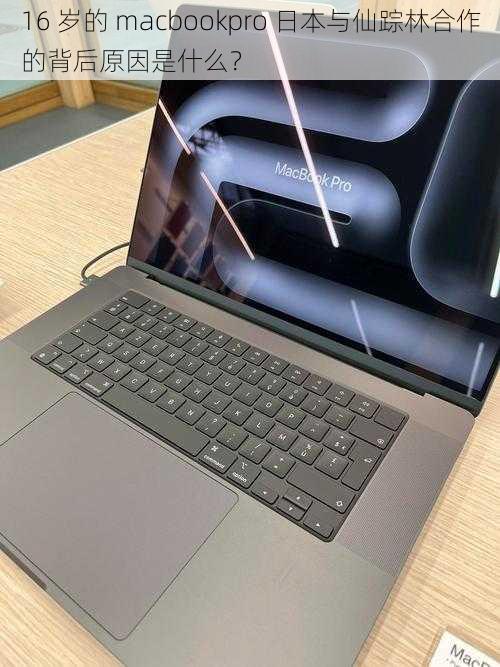 16 岁的 macbookpro 日本与仙踪林合作的背后原因是什么？