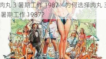 肉丸 3 暑期工作 1987：为何选择肉丸 3 暑期工作 1987？