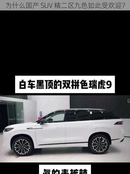 为什么国产 SUV 精二区九色如此受欢迎？