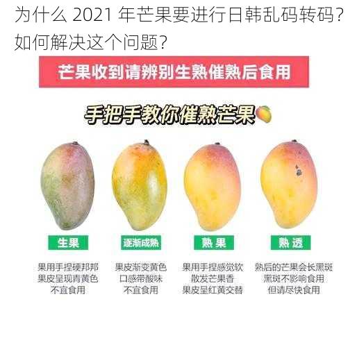 为什么 2021 年芒果要进行日韩乱码转码？如何解决这个问题？