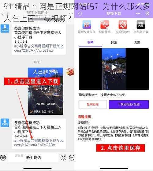 91 精品 h 网是正规网站吗？为什么那么多人在上面下载视频？