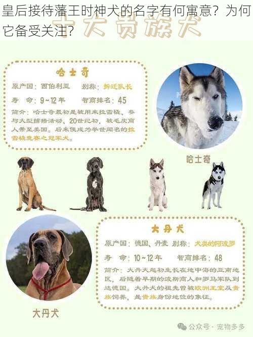 皇后接待藩王时神犬的名字有何寓意？为何它备受关注？