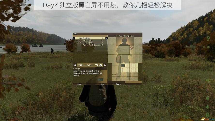 DayZ 独立版黑白屏不用愁，教你几招轻松解决