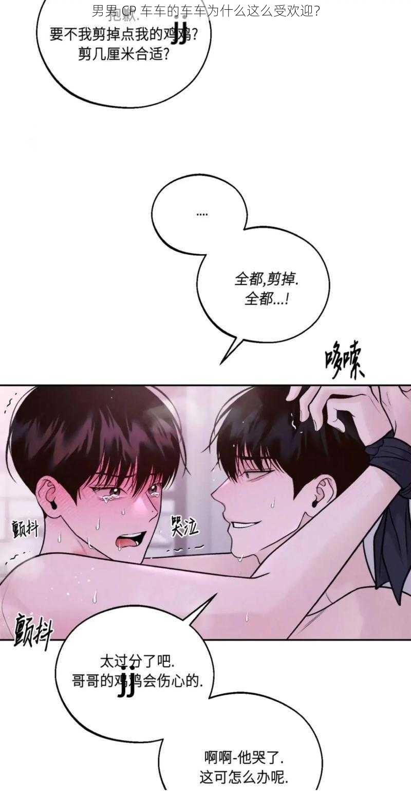 男男 CP 车车的车车为什么这么受欢迎？