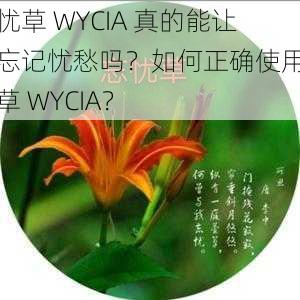 忘忧草 WYCIA 真的能让人忘记忧愁吗？如何正确使用忘忧草 WYCIA？