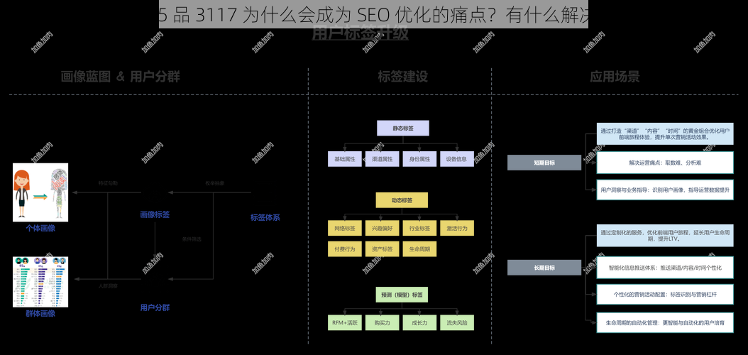 夜潮 85 品 3117 为什么会成为 SEO 优化的痛点？有什么解决方法？