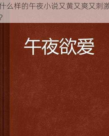 什么样的午夜小说又黄又爽又刺激？