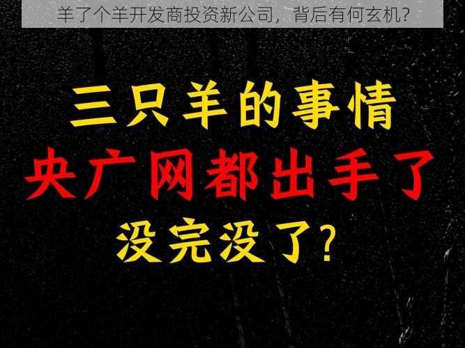 羊了个羊开发商投资新公司，背后有何玄机？