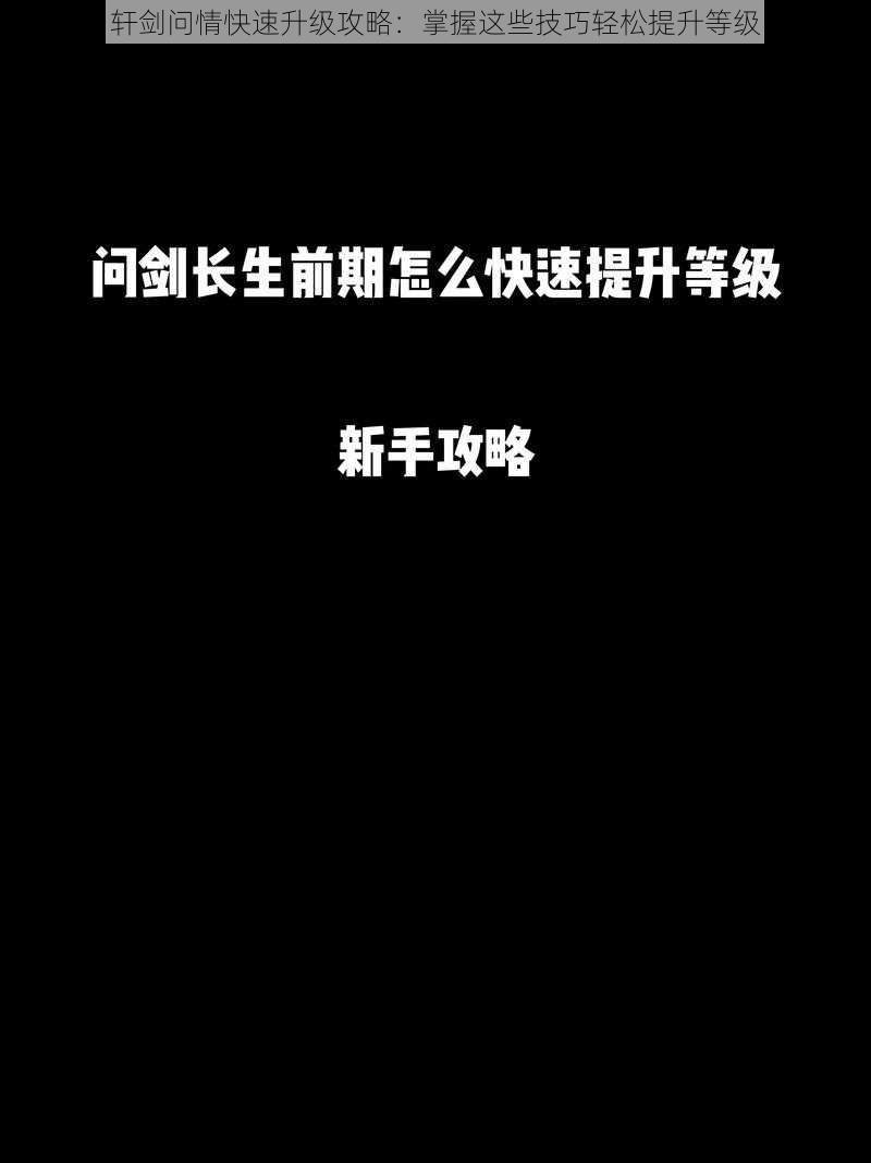 轩剑问情快速升级攻略：掌握这些技巧轻松提升等级