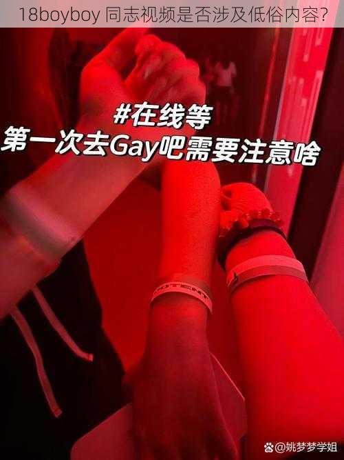 18boyboy 同志视频是否涉及低俗内容？