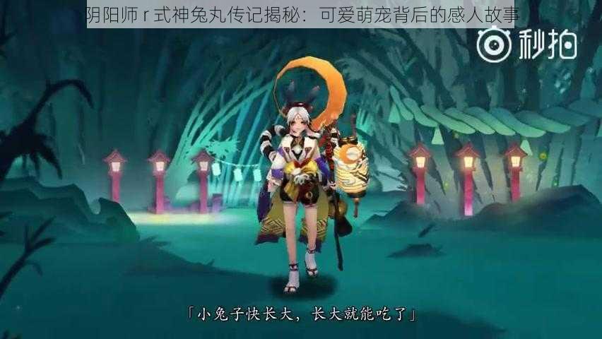 阴阳师 r 式神兔丸传记揭秘：可爱萌宠背后的感人故事