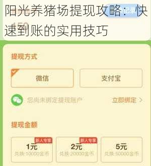 阳光养猪场提现攻略：快速到账的实用技巧