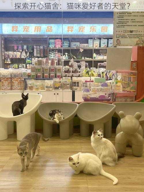 探索开心猫舍：猫咪爱好者的天堂？