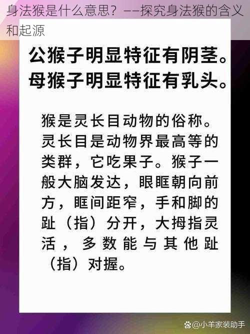 身法猴是什么意思？——探究身法猴的含义和起源